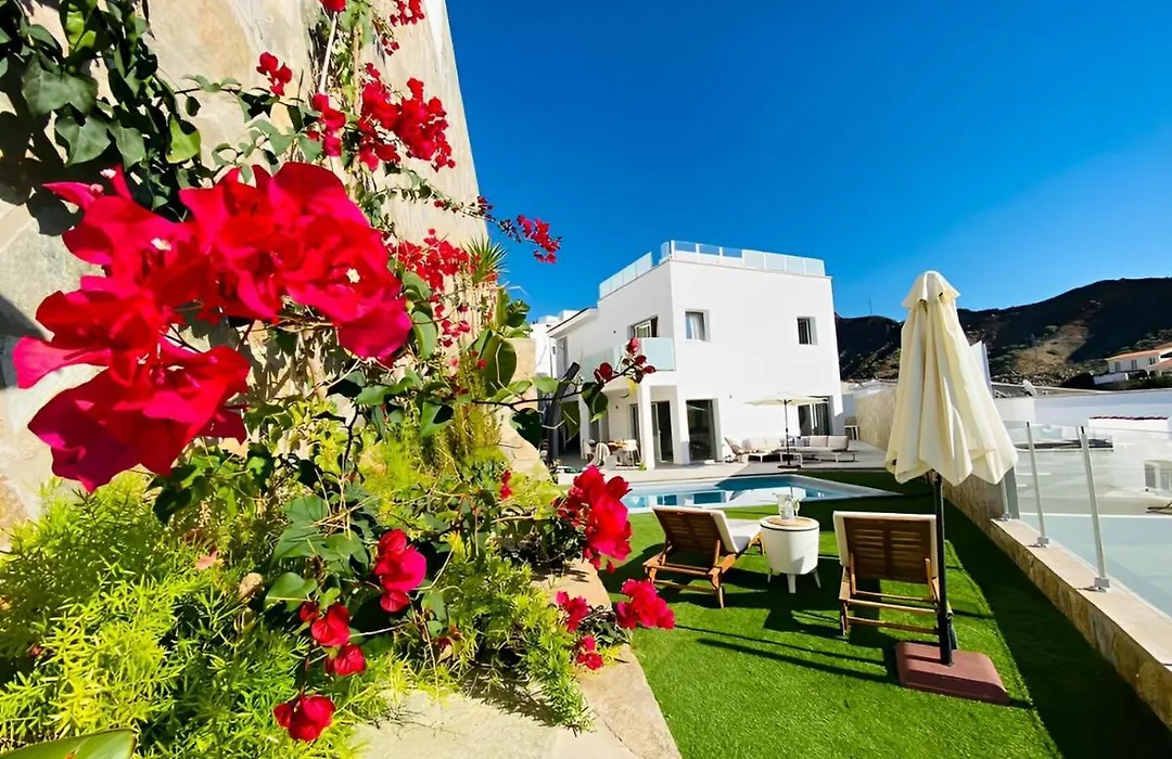 Luxury Boho Villa With Heated Pool, Rooftop And Panoramic Sea View In Amadores-1